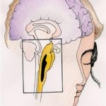 hemi-sync-demo-binaural-3