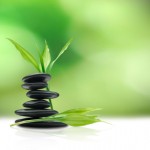 Meditation Techniques