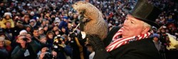 groundhog-day